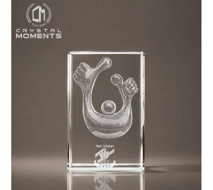 2D & 3D Laser Engraved Crystal Awards & Gifts