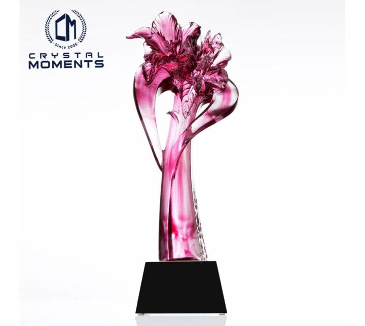 Liu Li Trophies/Awards