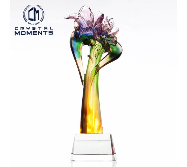 Liu Li Trophies/Awards