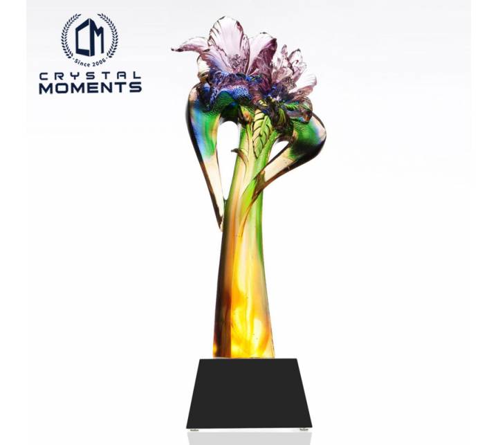 Liu Li Trophies/Awards