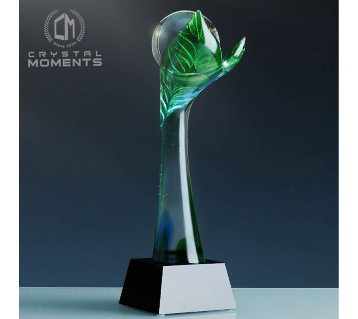 Liu Li Trophies/Awards