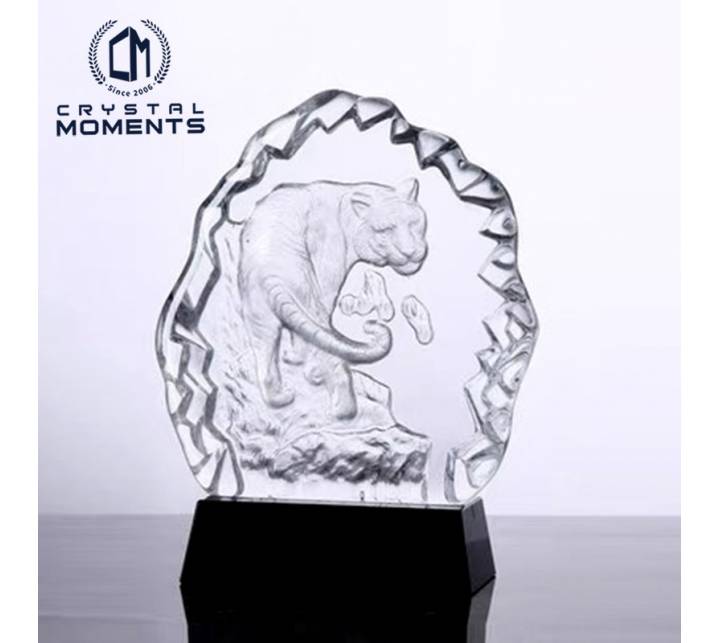 Innovative Designs