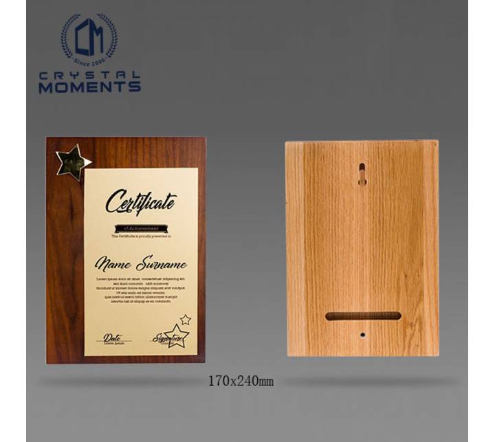 Wooden Plaques/Trophies